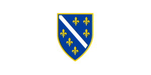 Flag of Bosnia and Herzegovina (1992–1998).svg