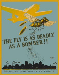Fly bomber Philadelphia