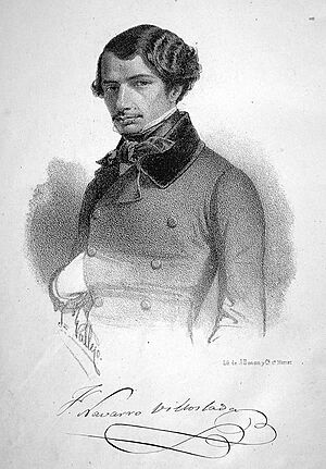 Francisco Navarro Villoslada (2)