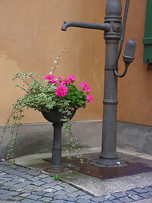 Fuggerei-Waterpump