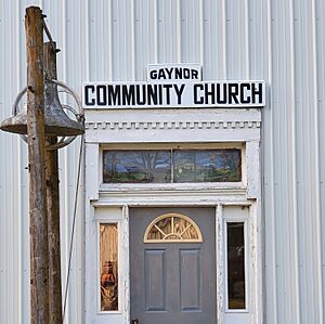 Gaynor Missouri Sign.jpg