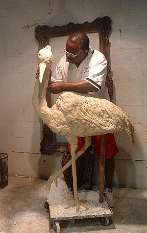 George Gadson Working on Egret