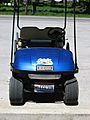 Golf cart with license plate