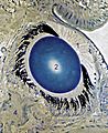 Helix pomatia eye microscopical