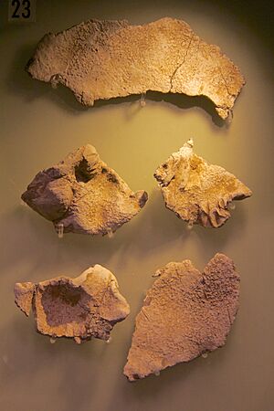 Huxley Hoard at the Museum of Liverpool 6