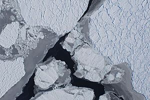ICE bridge Antarctic Sea Ice