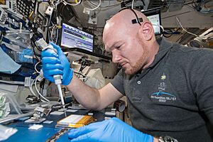 ISS-57 Alexander Gerst works in the Harmony module (1)
