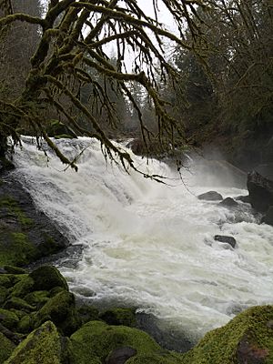 Lake Creek Falls Watchable Wildlife & Recreation Site (25168782693).jpg