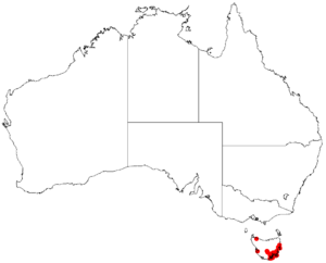 Lepidosperma oldfieldiiDistMap52.png