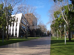 Main Walkway, Lower campus UNSW