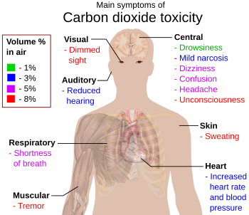 Main symptoms of carbon dioxide toxicity