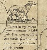 Mercator 1569 world map detail animals