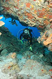 Monito diver in cave