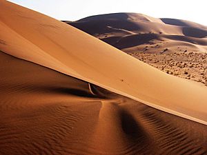 Namib Desert Namibia(2)