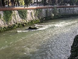 The river Nera in Terni