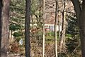 NewCanaanCT TatumHouse 1