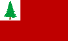 New England pine flag