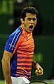 Nicolas Almagro (32143881365)