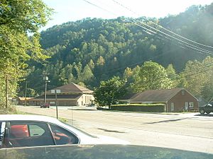 View of Oakwood, circa 2002