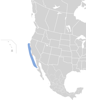 Oceanodroma homochroa map.svg