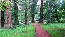 Old Leifnorris Castle site, Dumfries House, Ayrshire