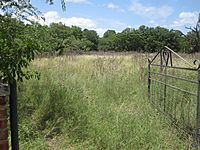 Open gate to a field in Leakey, TX IMG 4305