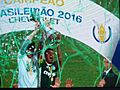 Palmeiras Campeão Brasileiro de 2016 - Dudu Troféu