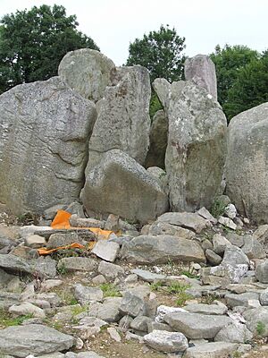 Passage tomb Knockroe County Kilkenny