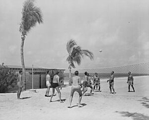 Photograph of a volleyball game between members of President Truman's vacation party at Key West, Florida. - NARA - 199042 (cropped)