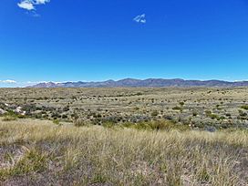 Prairie San Pedro Valley Near Tombstone Arizona 2015-04-27.JPG
