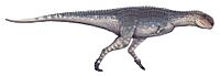 Quilmesaurus curriei.jpg