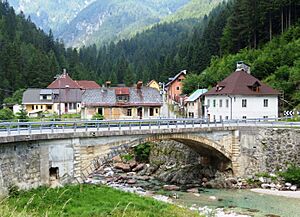 Riofreddo Tarvisio Italy