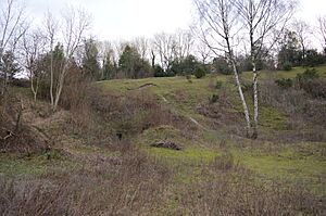 Roughdown Common 8