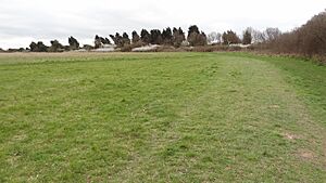 Roundshaw Downs 5