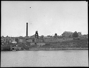 SLNSW 31753 Balmain Coal Mine for LJ Hooker Ltd