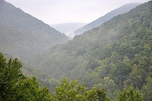 Slate run watershed