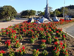 Sodegaura park-Chiba 袖ヶ浦公園-DSCF7066