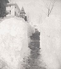 StereoviewNewBritainCTGrandStMar131888BlizzardFWAllderige enh