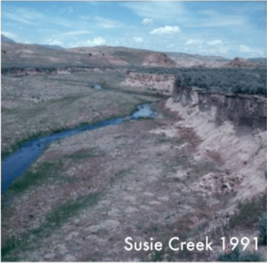 Susie Creek 1991 BLM