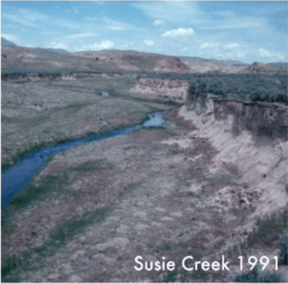 Susie Creek 1991 BLM