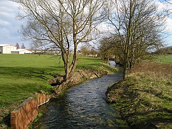 A narrow beck, curving between two fields
