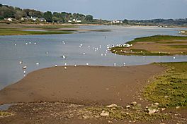 A tidal estuary at low water