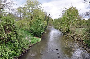 The River Ely - Peterston-super-Ely - geograph.org.uk - 1276154.jpg
