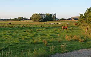 This farm sits in the plain left by an ice-walled lake at the junction of M and E.