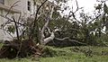 Typhoon Neoguri storms through Okinawa 140710-M-EB647-007