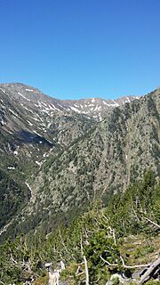 Valls del Comapedrosa (la Massana) - 73