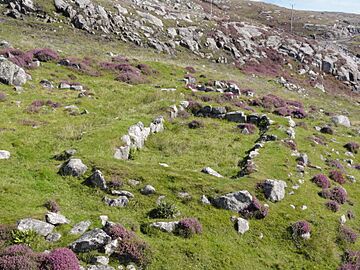 Vatersay Fae037