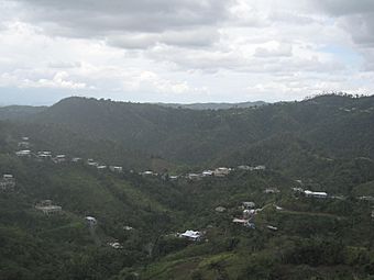 View of Barrio Gato, Orocovis, Puerto Rico