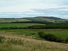 View towards Mochrum Hill - geograph.org.uk - 231335