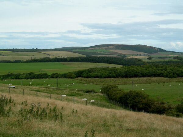 View towards Mochrum Hill - geograph.org.uk - 231335